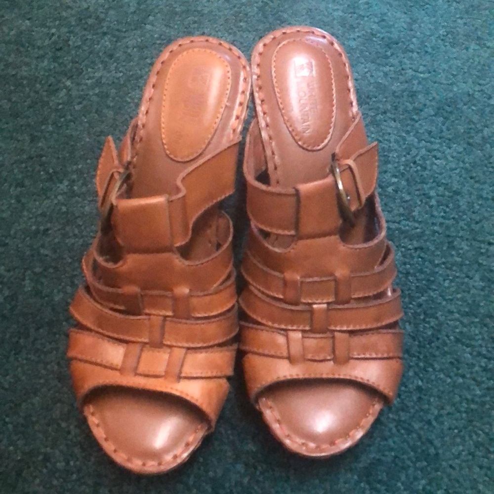 White mountain brown slide